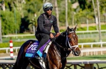 Horses to Watch: These 15 include Kentucky Derby hopefuls