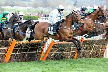 Horses to watch this jumps season