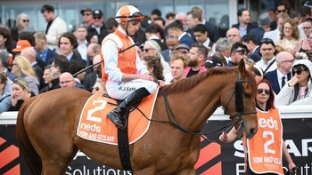 How many Australian horses are in the 2023 Melbourne Cup?