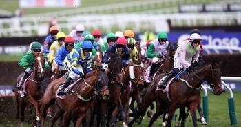How many horses have died at Cheltenham Festival?