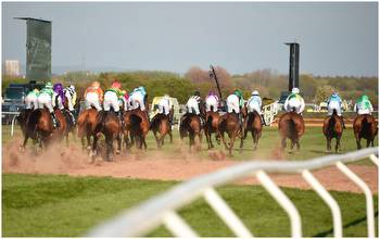 How many horses run in the Grand National at Aintree Racecourse?
