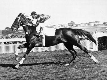 How Many Melbourne Cups Did Phar Lap Win?