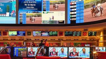 How Maryland Benefits from Increased Sports Betting Options