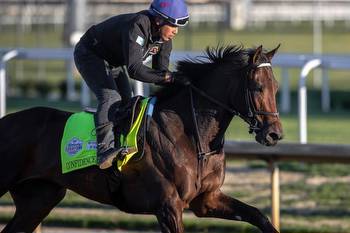 How much does a Kentucky Derby horse cost? Here are the prices on this year’s contenders.