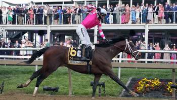 How Much Would You Make Betting On Preakness Stakes Favorite?