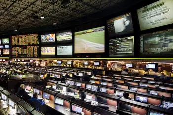 How New Zealand is obsessed with sports betting and where it stems from