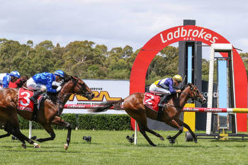 How the Blue Diamond Preview winners stack up