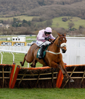 How to bet £20 ante-post on the Unibet Greatwood Hurdle