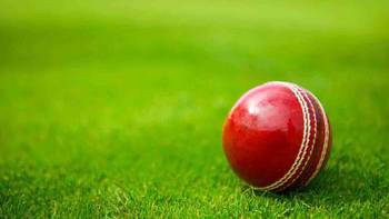 How to bet on cricket online safely? -Newsday Zimbabwe