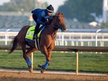 How To Bet On The Breeders Cup With Connecticut Sports Betting Sites For Horse Racing