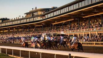 How To Bet On The Breeders Cup With Maine Sports Betting Sites For Horse Racing