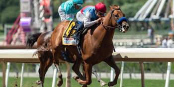 How To Bet On The Breeders Cup With Montana Sports Betting Sites For Horse Racing