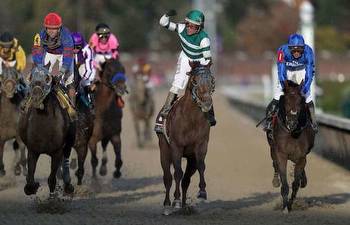 How To Bet On The Breeders Cup With Tennessee Sports Betting Sites For Horse Racing