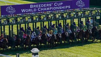 How To Bet On The Breeders Cup With Texas Sports Betting Sites For Horse Racing
