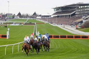 How To Bet On The Cheltenham Festival In The Canada