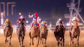 How To Bet On The Dubai World Cup In USA