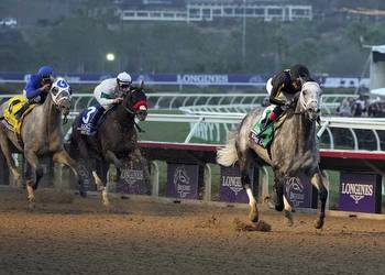 How To Bet On The Florida Derby In Kentucky