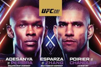How To Bet On UFC 281 On Washington Sports Betting Sites