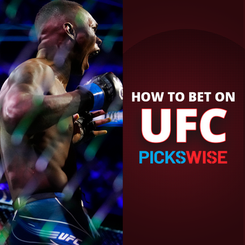 How To Bet On UFC Fights 2024- UFC Betting Guide