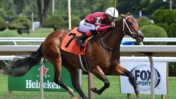 How to bet the 2022 Dogwood Stakes
