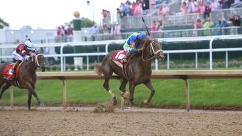 How to bet With, and Against, Secret Oath in the Cotillion Stakes