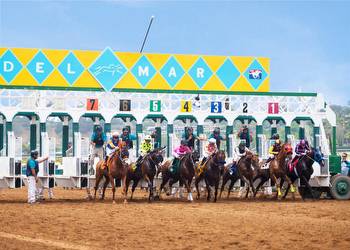 How To Have a Perfect Day Betting on Horses at Del Mar