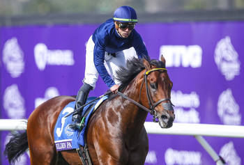 How to Pick a 2022 Breeders’ Cup Winner