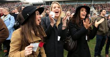How to pick a winner at Cheltenham Festival and Gold Cup 2023