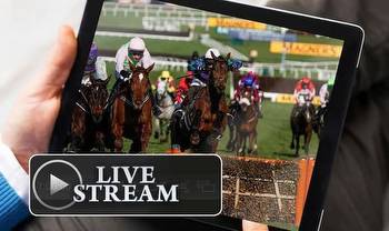 How To Watch The Last Two Cheltenham Races on Tuesday FREE