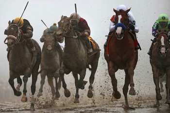 How to Watch The Preakness Stakes Live Stream (2024)