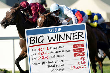 Huge Royal Ascot wins keep racking up as punter turns 5p bet into £3,000 thanks to 40-1 winner