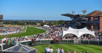 Hull Live community news updates: Beverley Racecourse a best bet for raceday experience