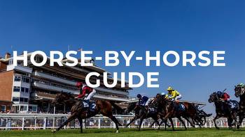 Hungerford Stakes tips: In-depth guide and Value Bet shortlist for Newbury feature