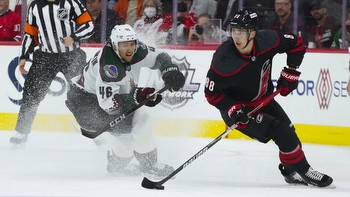 Hurricanes vs. Coyotes Prediction and Odds (How Do You Bet on Games involving Arizona?)