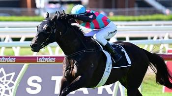 Hype horse ‘has right form' to win in Melbourne