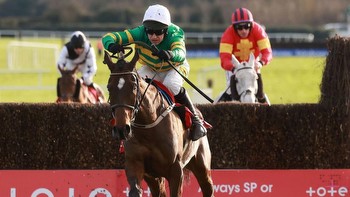 I Am Maximus: A Rising Star Destined for Gold Cup Glory?