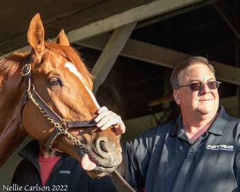 'I Don't Think He'll Disappoint': Reed Bullish On Rich Strike's Chances In Lukas Classic