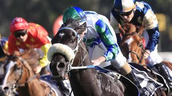 I Wish I Win ready to rumble in Group 1 Newmarket Handicap on Super Saturday at Flemington
