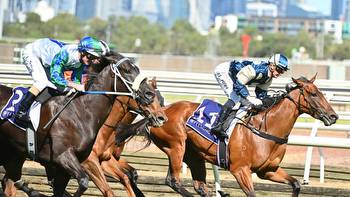 I Wish I Win ready to rumble in Group 1 Newmarket Handicap on Super Saturday at Flemington