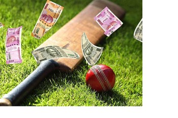 ICC Cricket World Cup 2023: India Hot Favourites In Satta Market