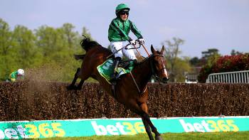 I'd love another crack at Gold Cup with Hewick, says Hanlon