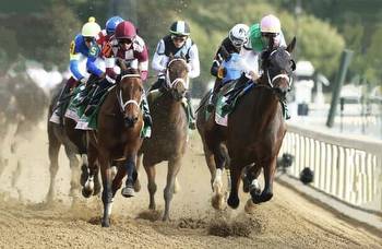 Idiomatic vanquishes Nest in gate-to-wire Spinster triumph