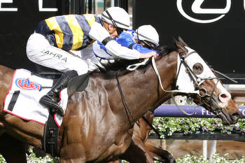 I'm Thunderstruck ready to rumble in Champions Stakes