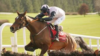 Impressive Galmoy Hurdle winner Teahupoo new Stayers' Hurdle favourite for Cheltenham