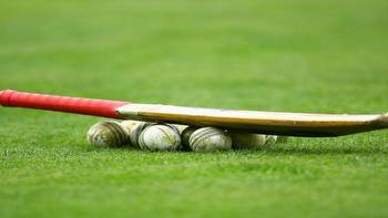 In 2022, 13 suspicious cricket matches were played across globe: Sportradar report