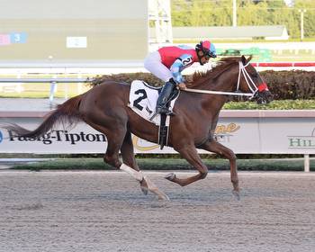 In Due Time Returns to Action Thursday at Gulfstream Park