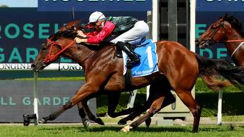 In-form Mariamia poised to get Expressway Stakes shot
