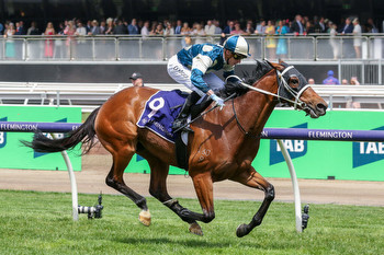 In-form stayer heads odds in the Zipping Classic at Caulfield