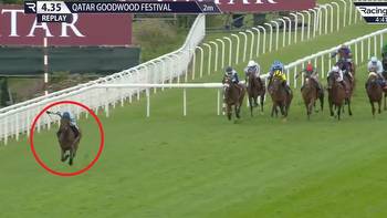 Incredible horse Quickthorn makes rivals 'look like mugs' with astonishing Goodwood Cup victory