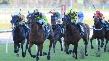 Inside mail: tips and form preview for Tamworth and Leeton